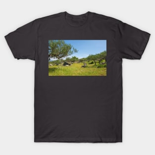 Landscape Near Nerezisca, Brac Island, Croatia T-Shirt